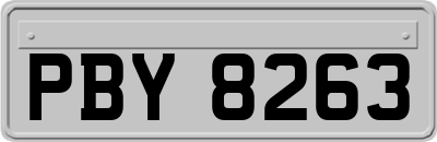 PBY8263