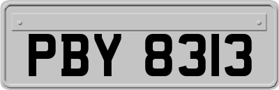 PBY8313