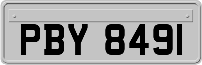 PBY8491