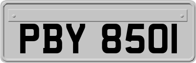 PBY8501