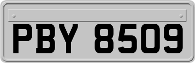 PBY8509