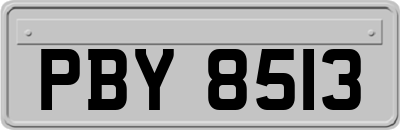 PBY8513