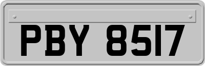 PBY8517