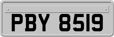 PBY8519