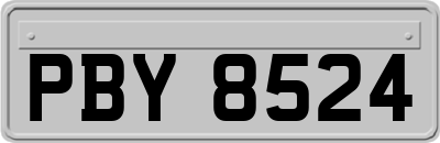 PBY8524