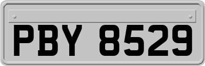 PBY8529