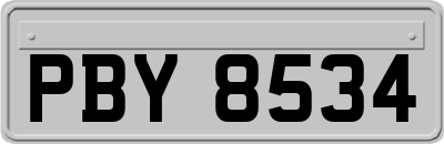 PBY8534