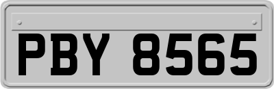 PBY8565