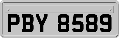 PBY8589