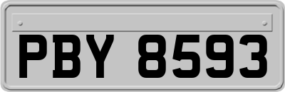 PBY8593