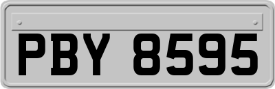 PBY8595