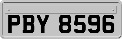 PBY8596