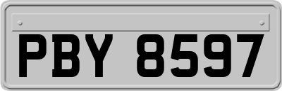 PBY8597