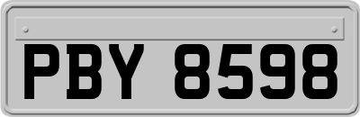 PBY8598