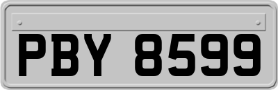 PBY8599