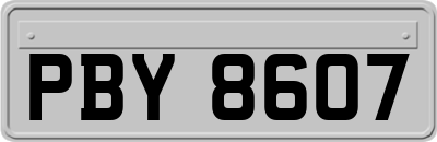 PBY8607