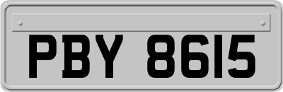 PBY8615