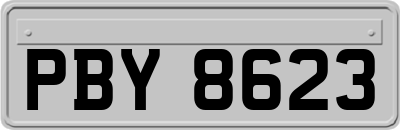 PBY8623