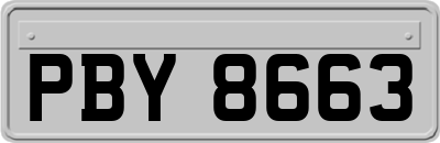 PBY8663