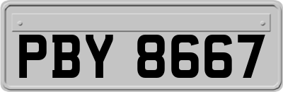 PBY8667