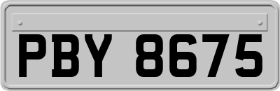 PBY8675