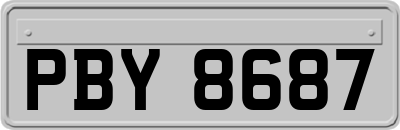 PBY8687