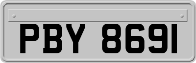 PBY8691