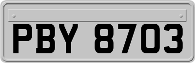 PBY8703