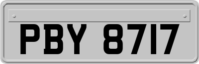 PBY8717