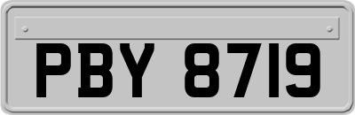 PBY8719