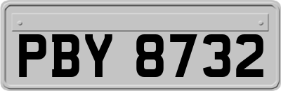 PBY8732