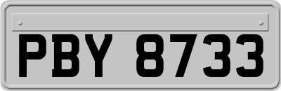 PBY8733