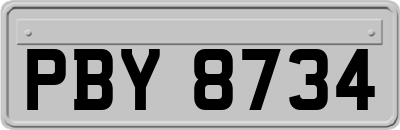 PBY8734