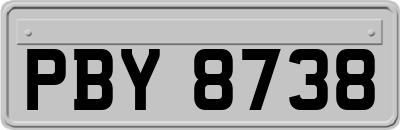 PBY8738