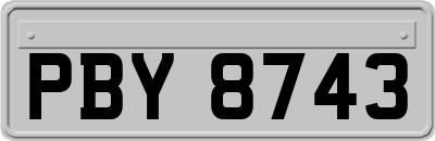 PBY8743