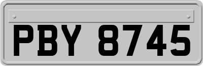 PBY8745