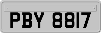 PBY8817