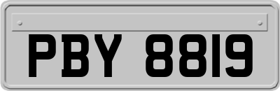 PBY8819