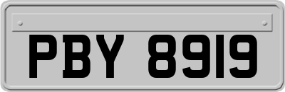 PBY8919