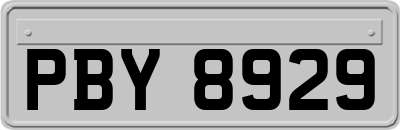 PBY8929