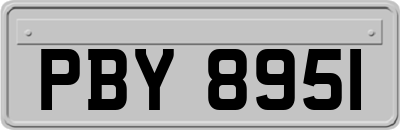 PBY8951