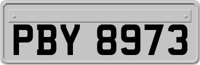 PBY8973