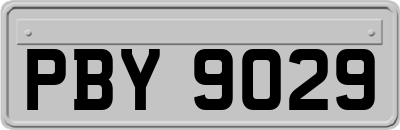 PBY9029