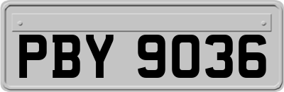 PBY9036