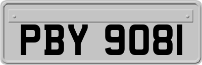 PBY9081