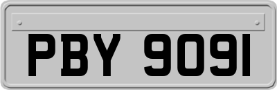 PBY9091