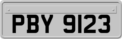 PBY9123