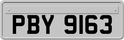 PBY9163