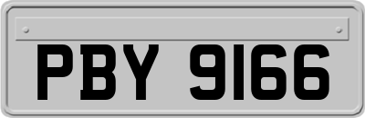 PBY9166