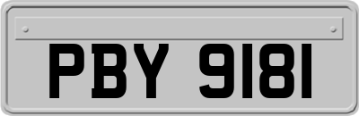 PBY9181